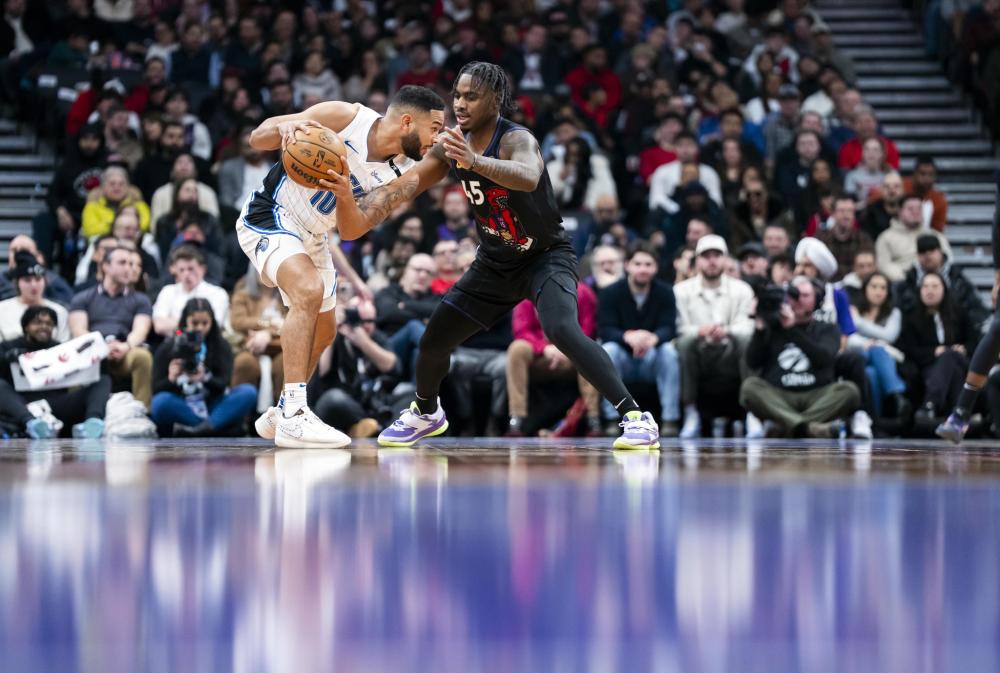 球迷们不仅 球迷们不仅